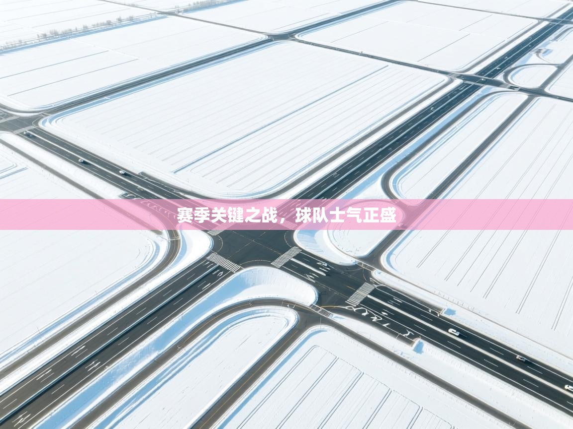 赛季关键之战，球队士气正盛  第2张